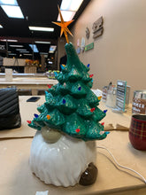 Christmas Trees & Gnomes