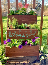 Assorted Spring Planters 2023