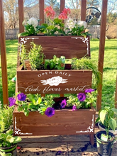 Assorted Spring Planters 2023